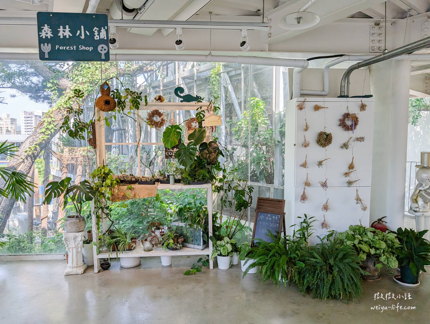 新竹東區美食|森林食堂及野餐市集.逛完新竹市立動物園,就讓羊駝來陪你用餐吧! - 第18張圖 森林食堂&野餐市集用餐環境