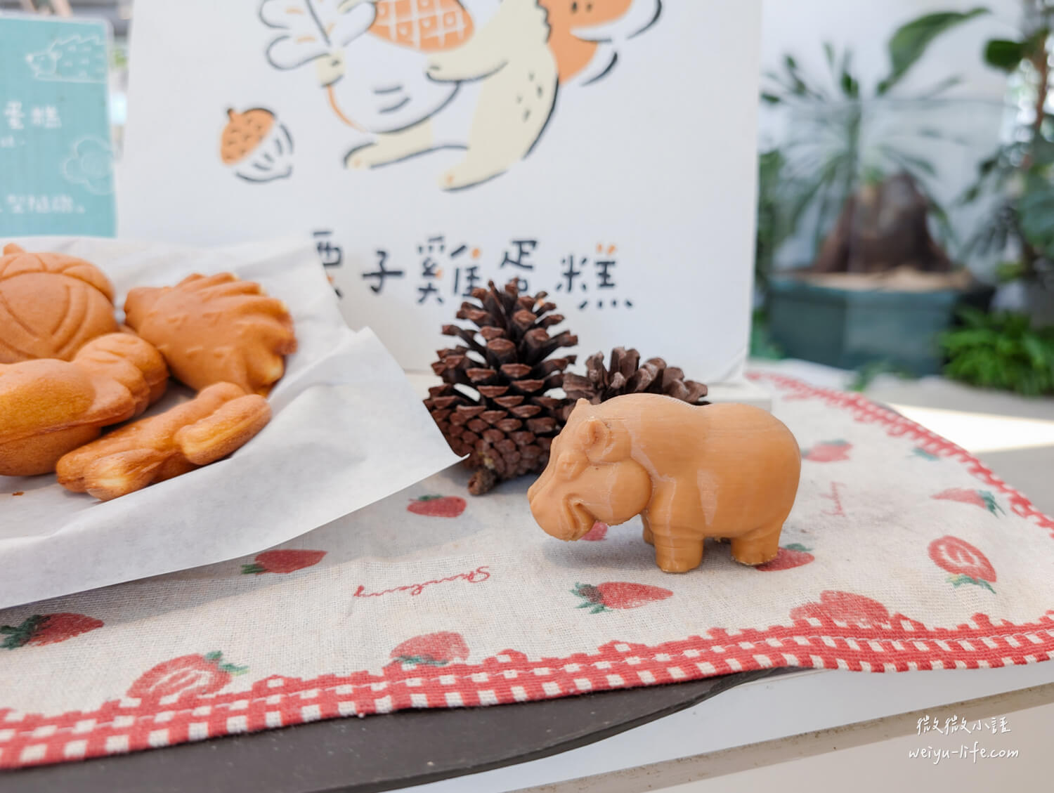 新竹東區美食|森林食堂及野餐市集.逛完新竹市立動物園,就讓羊駝來陪你用餐吧! - 第31張圖 森林食堂&野餐市集用餐環境