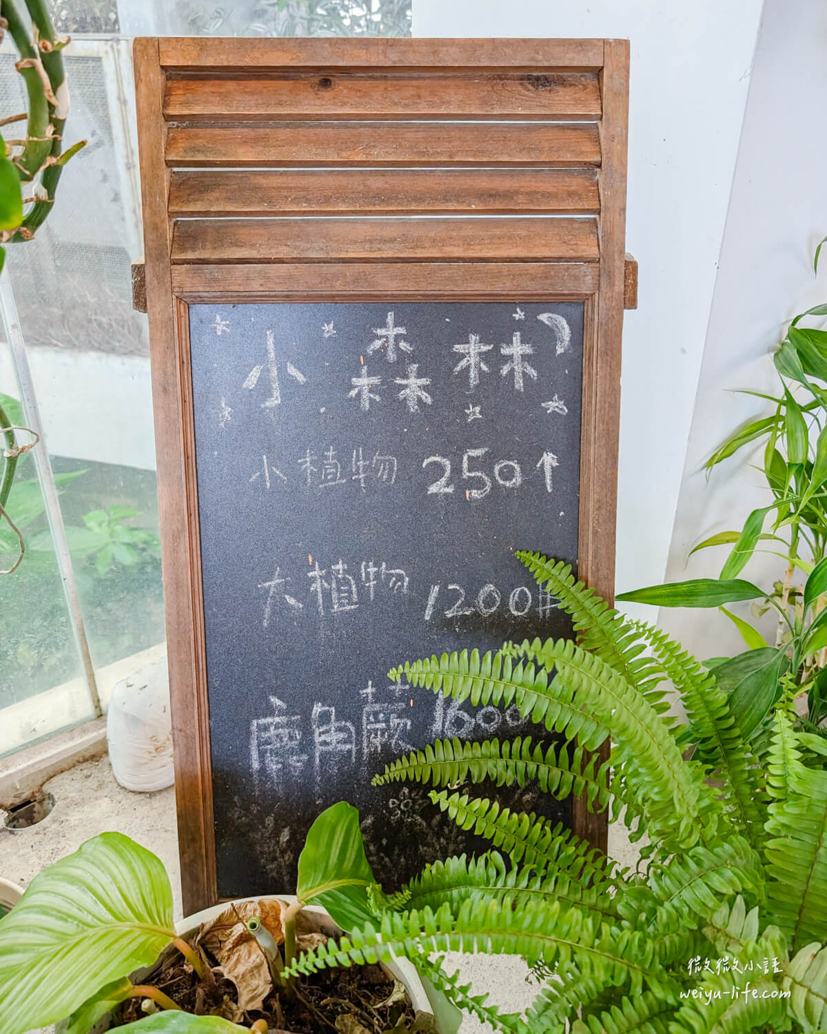 新竹東區美食|森林食堂及野餐市集.逛完新竹市立動物園,就讓羊駝來陪你用餐吧! - 第20張圖 森林食堂&野餐市集用餐環境