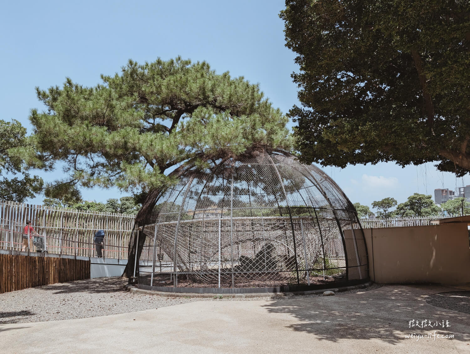 新竹東區景點|新竹市立動物園.一座為動物而生、小而美的動物公園 - 第155張圖 新竹市立動物園大鳥籠