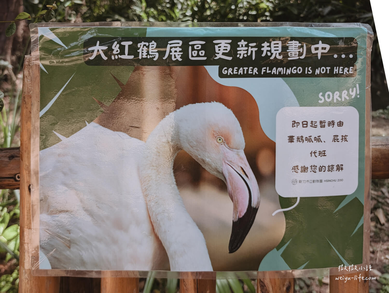 新竹東區景點|新竹市立動物園.一座為動物而生、小而美的動物公園 - 第64張圖 新竹市立動物園