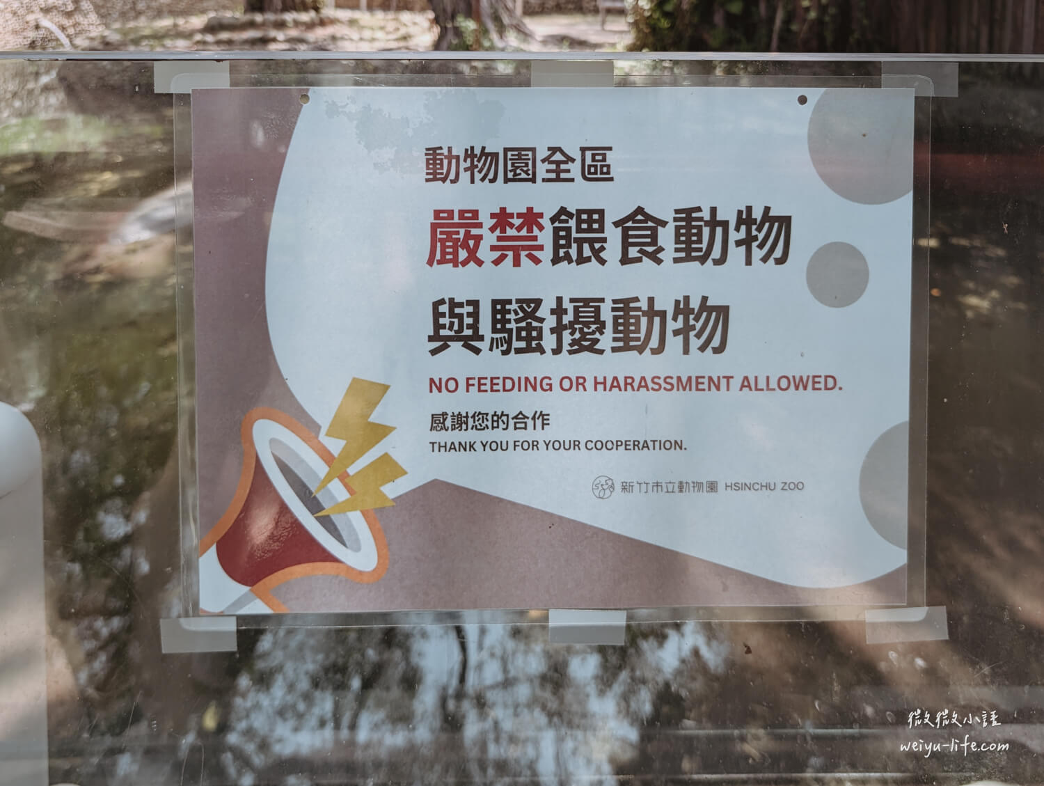 新竹東區景點|新竹市立動物園.一座為動物而生、小而美的動物公園 - 第58張圖 新竹市立動物園河馬