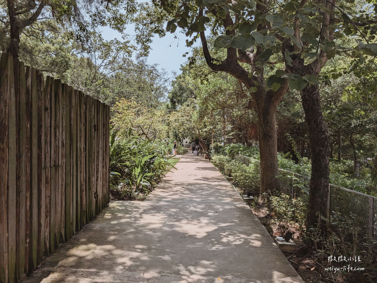 新竹東區景點|新竹市立動物園.一座為動物而生、小而美的動物公園 - 第67張圖 新竹市立動物園