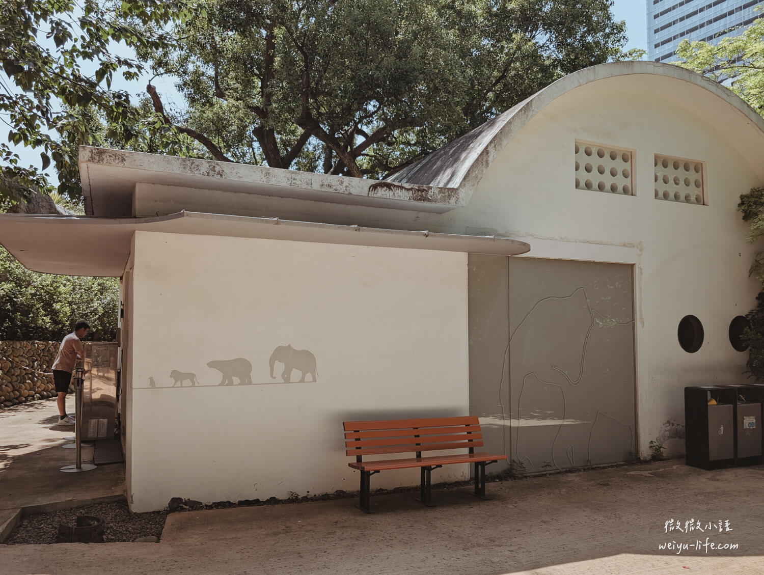 新竹東區景點|新竹市立動物園.一座為動物而生、小而美的動物公園 - 第74張圖 新竹市立動物園