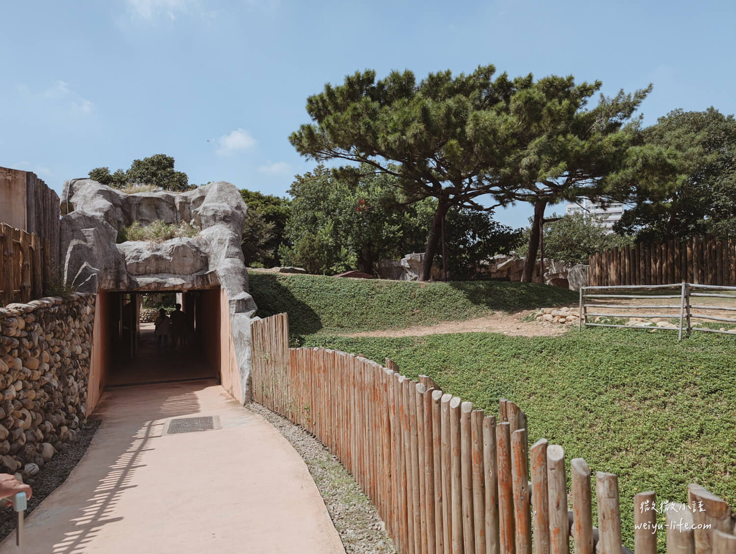 新竹東區景點|新竹市立動物園.一座為動物而生、小而美的動物公園 - 第40張圖 新竹市立動物園