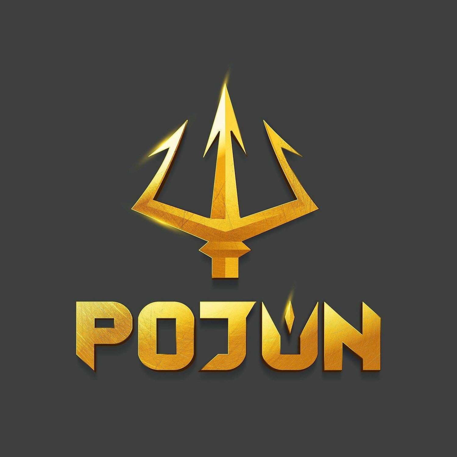 波軍 POJUN 品牌LOGO