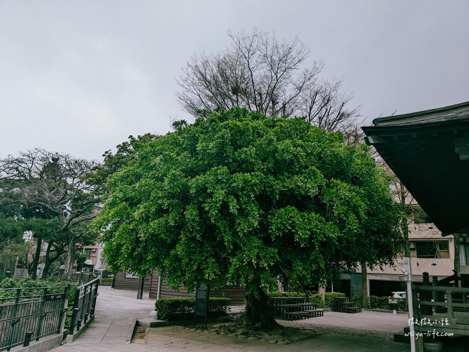 大溪木藝生態博物館武德殿