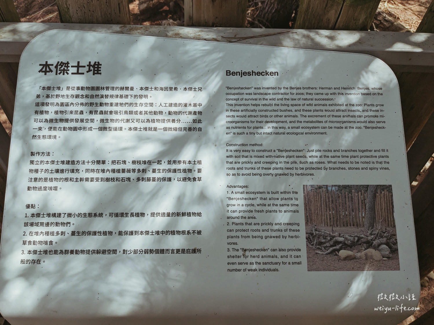 新竹東區景點|新竹市立動物園.一座為動物而生、小而美的動物公園 - 第27張圖 新竹市立動物園本傑土堆