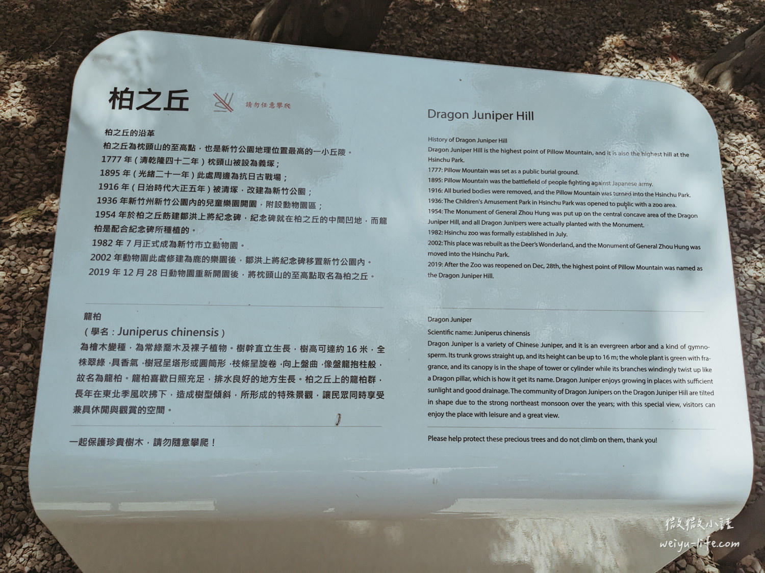 新竹東區景點|新竹市立動物園.一座為動物而生、小而美的動物公園 - 第120張圖 新竹市立動物園柏之丘