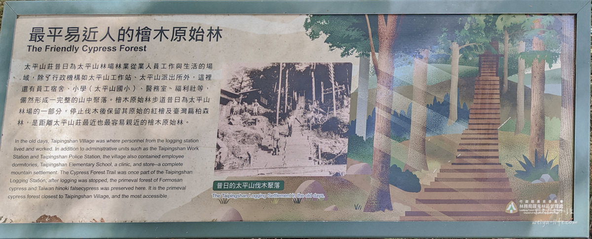 太平山國家森林遊樂區原始森林公園