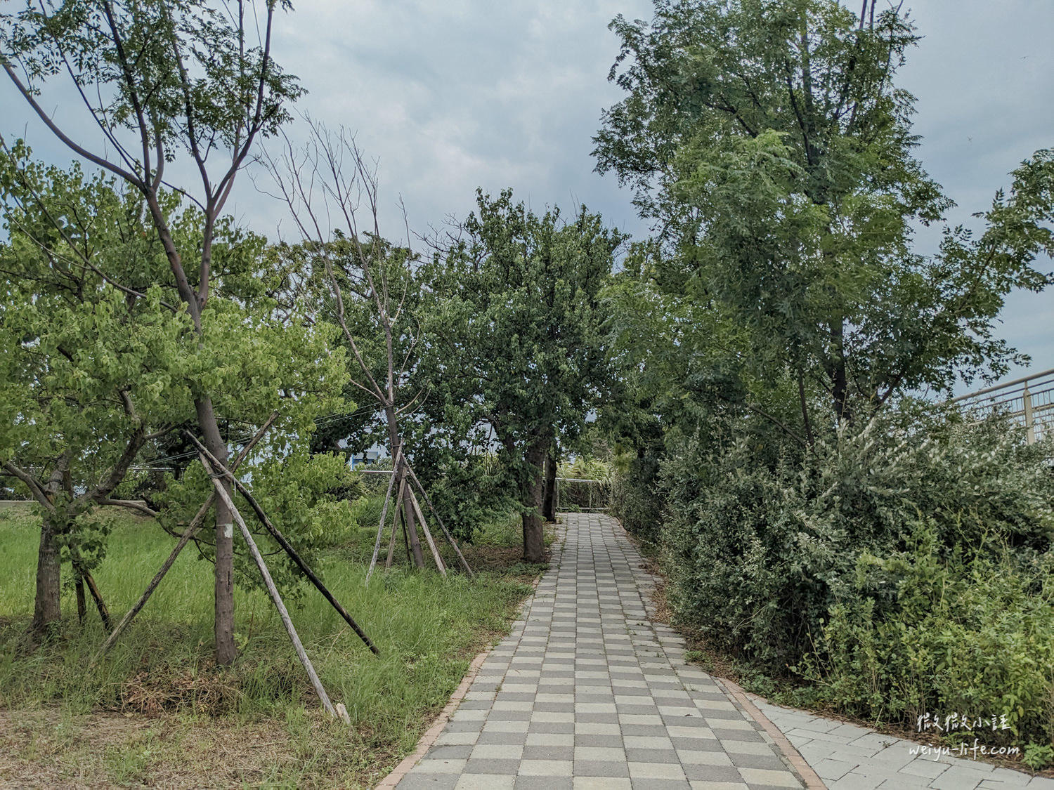 桃園觀音公園|水之丘主題公園。特色 3 層樓高的飼料桶溜滑梯好好玩! - 第17張圖 水之丘主題公園