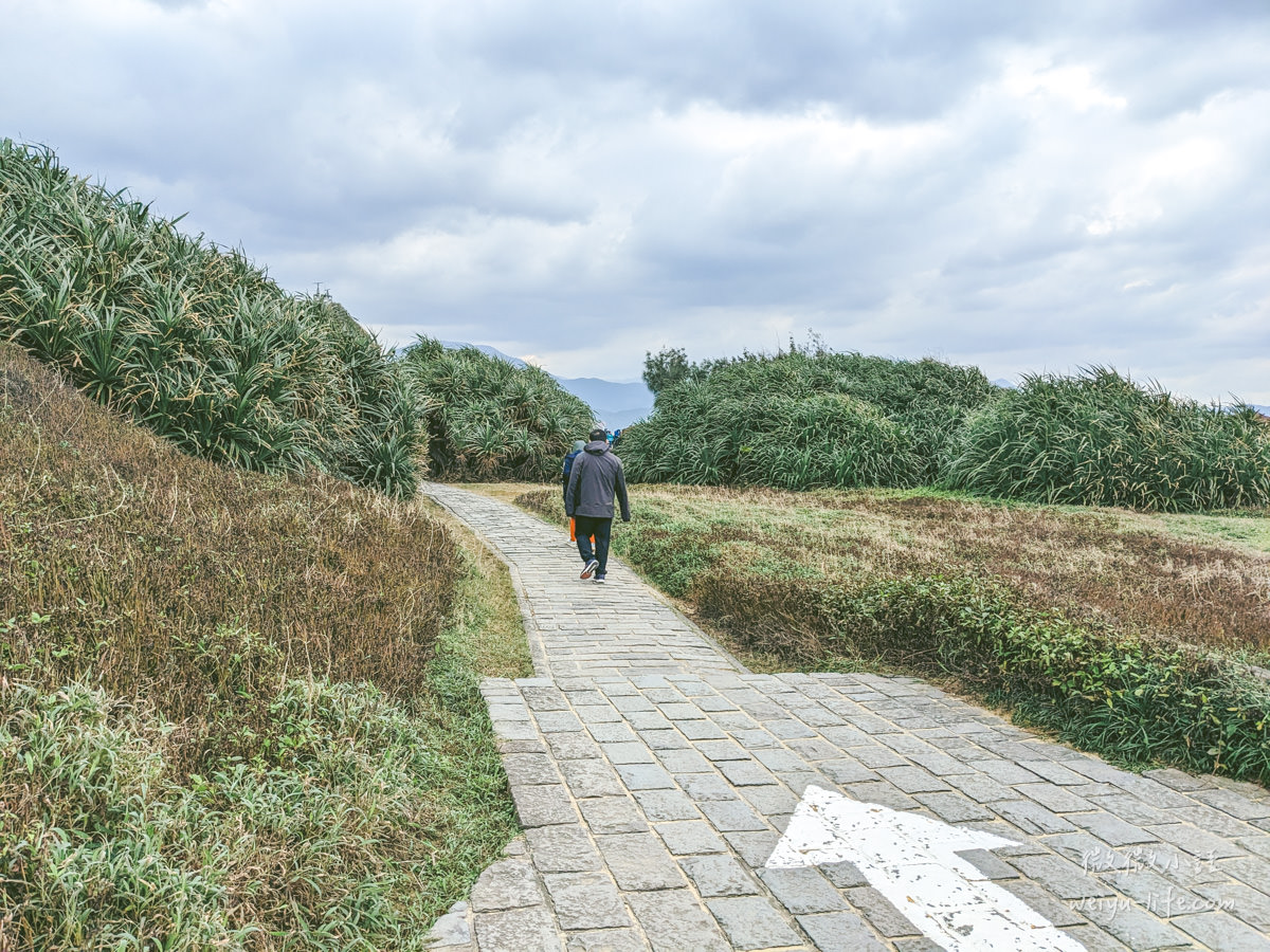 野柳地質公園